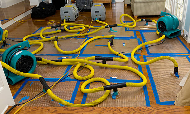 Professional Burst Pipe Water Damage technician working in Neenah, WI